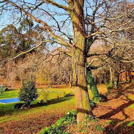 Penzion Veiga Marina Pontevedra Exteriér fotografie